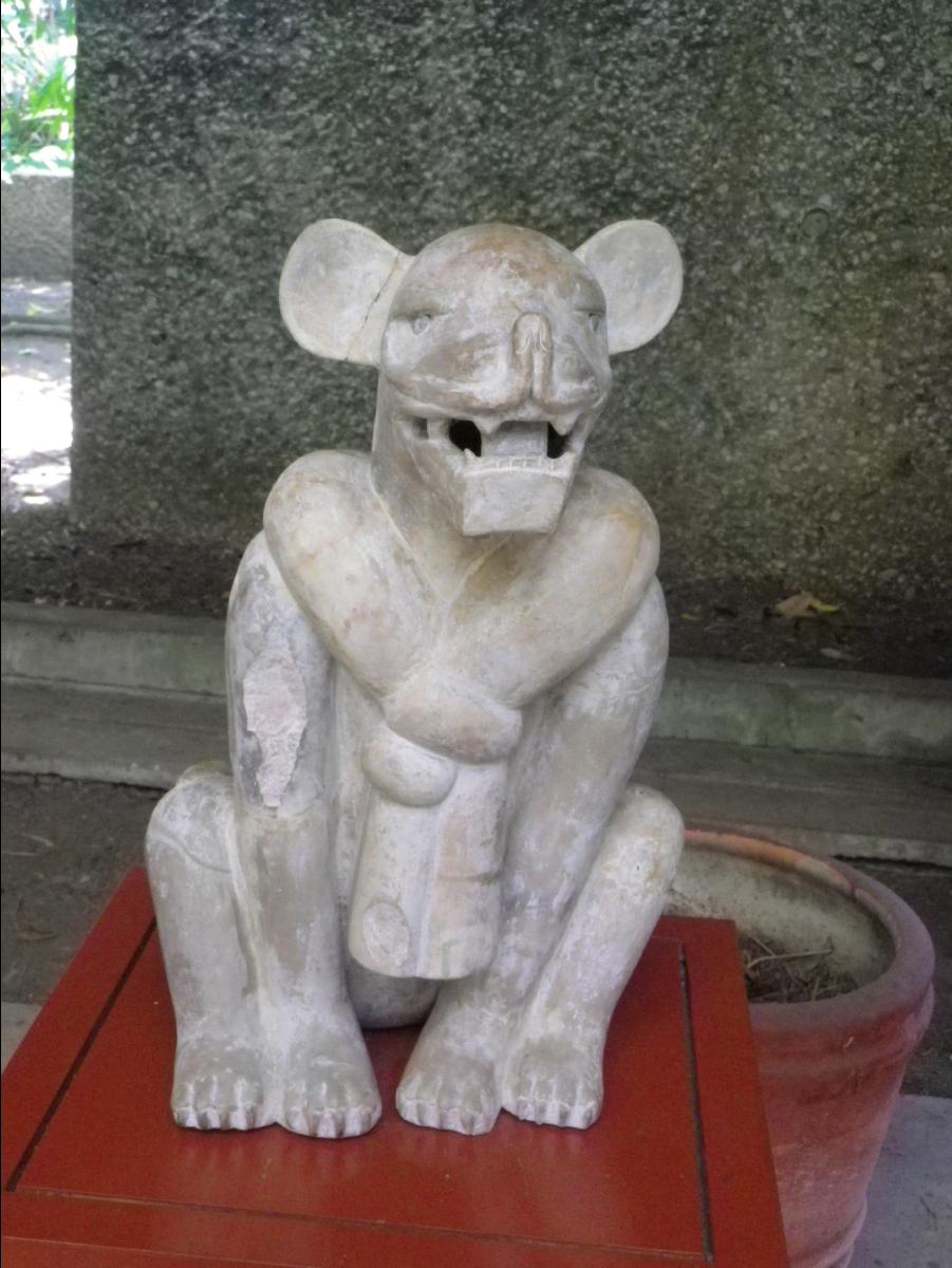 Olmeca culture museum11